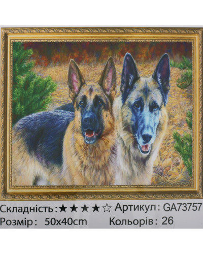 Набір для творчості "Алмазна мозаїка"